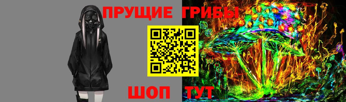 Ивантеевка  что такое   Вход с VPN  Псилоцибиновые грибы Magic Shrooms 