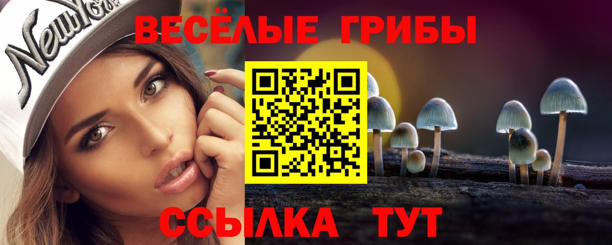 Галлюциногенные грибы ЛСД Ивантеевка