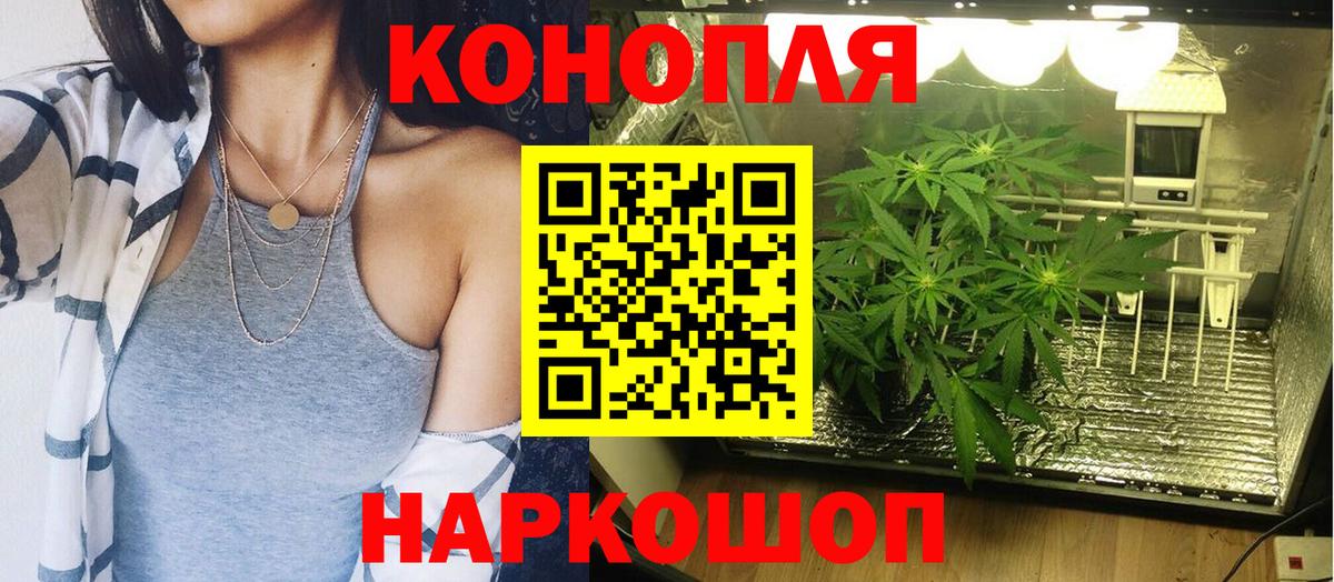 Ивантеевка  Шишки марихуана гибрид  Шишки марихуана White Widow  Бошки марихуана планчик  Вход с VPN 